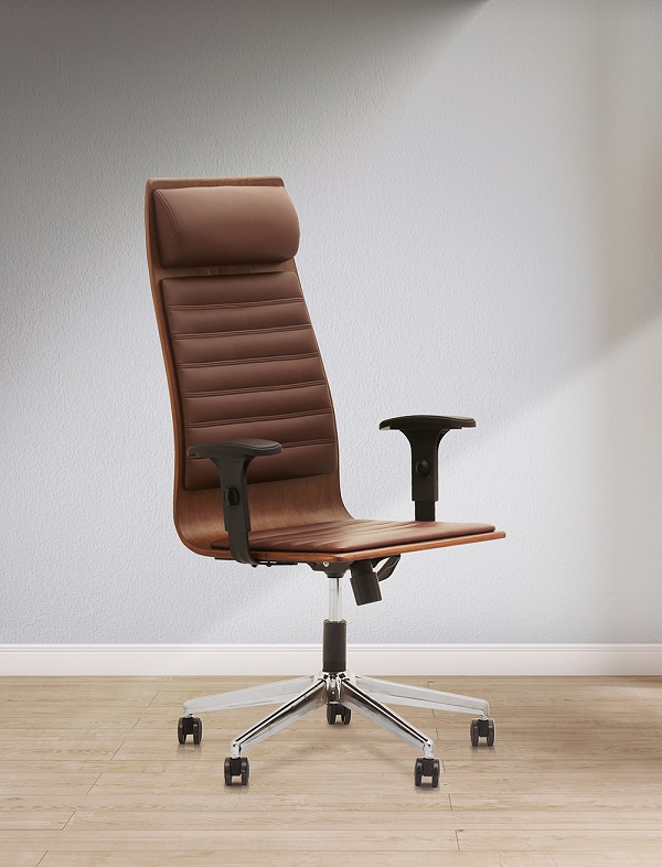 ergonomic chair for backpain
