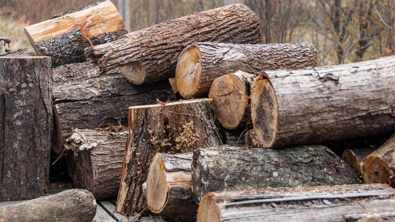 The Real Reason Solid Wood Costs More It’s Not Just About the Wood