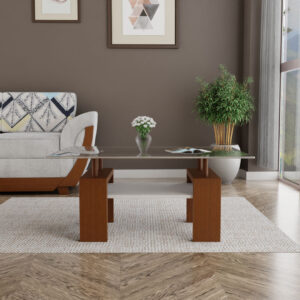 Danube-111 (Table with glass)