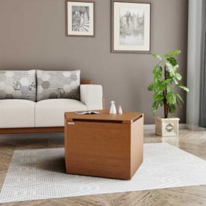 Center table Pythagoras-101